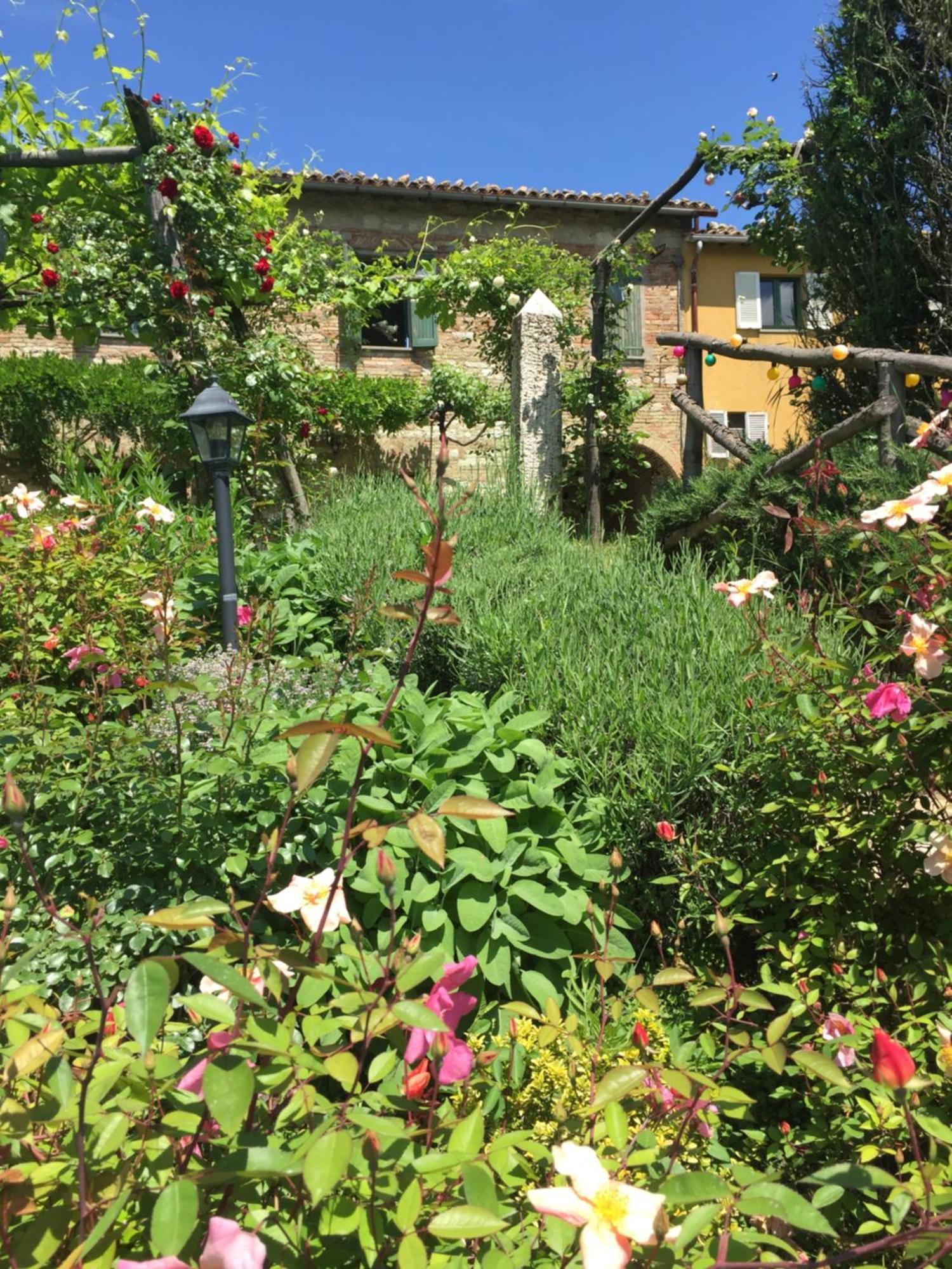 Villa Il Broglino Todi Exterior foto