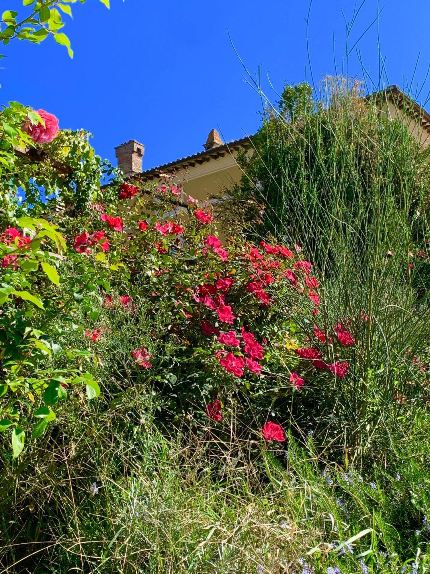 Villa Il Broglino Todi Exterior foto